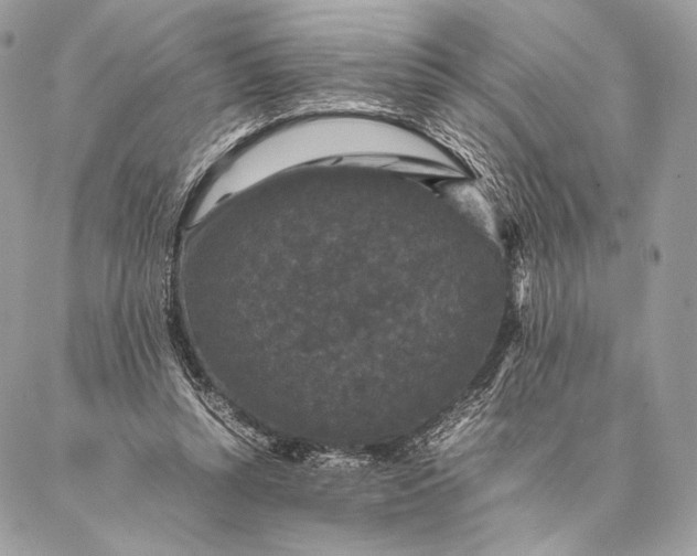 X0000087020352200704301320