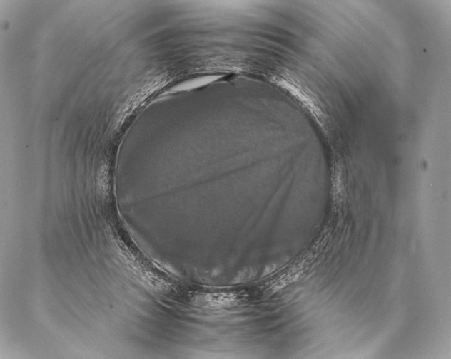 X0000087020353200704301320