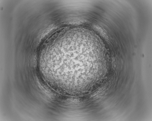 X0000087020354200704301320