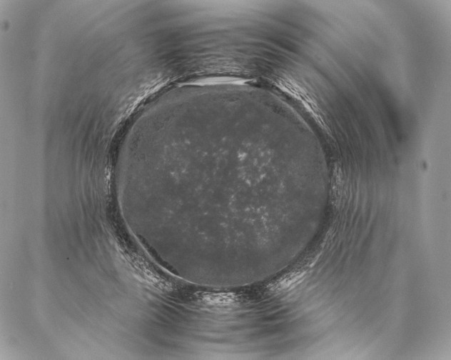 X0000087020355200704301320