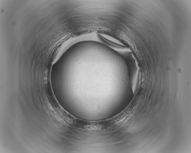 X0000087020356200704301320