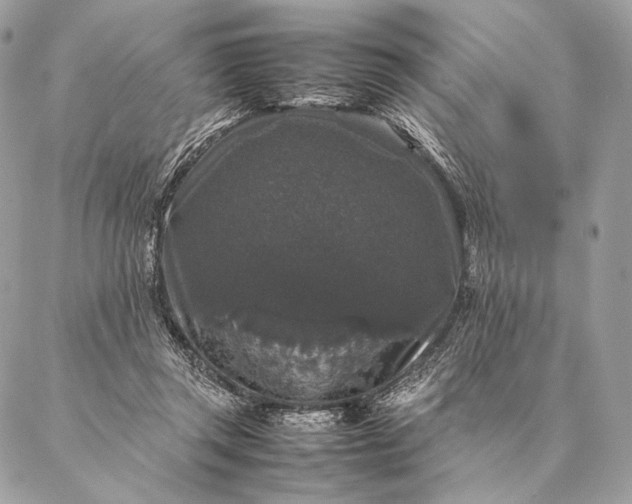 X0000087020357200704301320