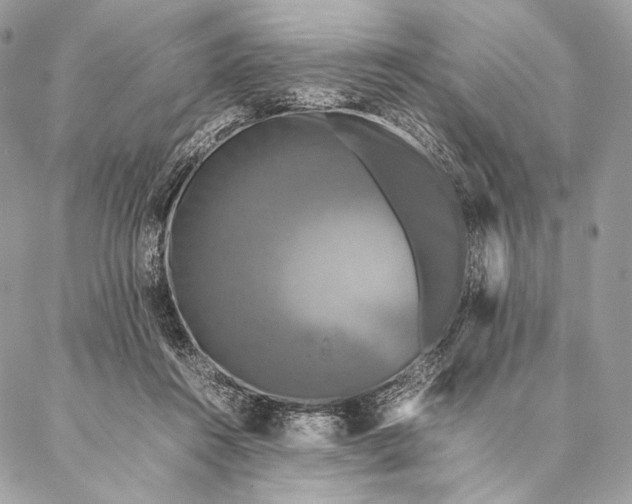 X0000087020360200704301320