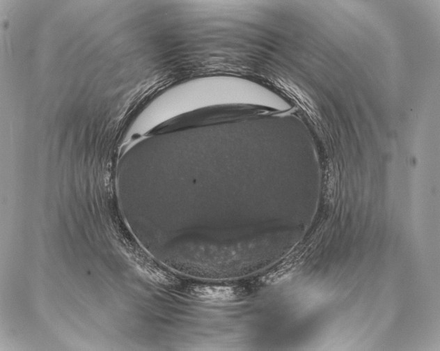 X0000087020361200704301320