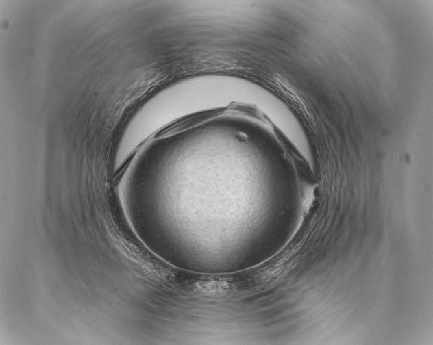 X0000087020362200704301320