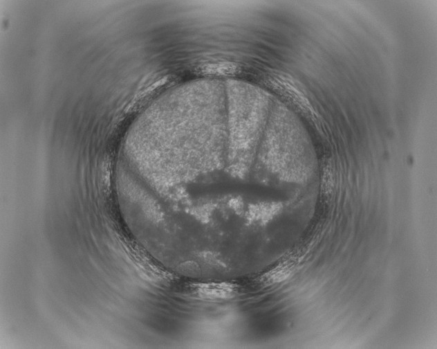 X0000087020363200704301320