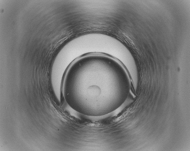 X0000087020364200704301320