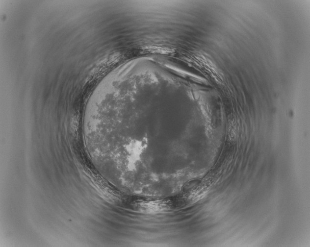 X0000087020365200704301320