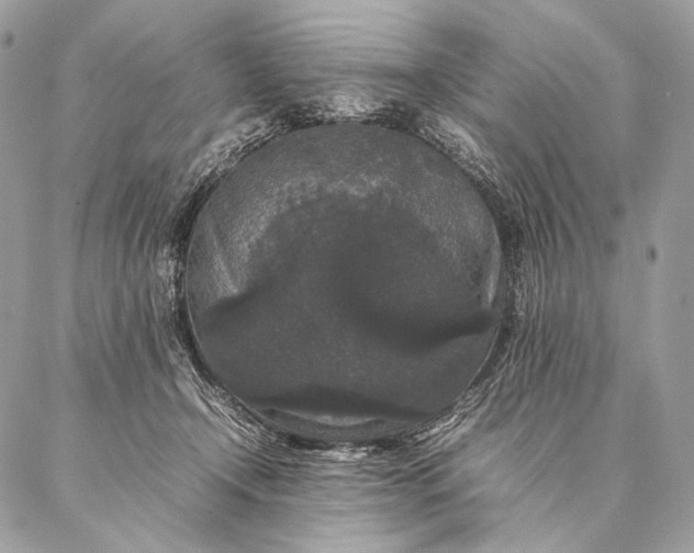 X0000087020366200704301320