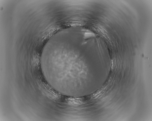 X0000087020367200704301320