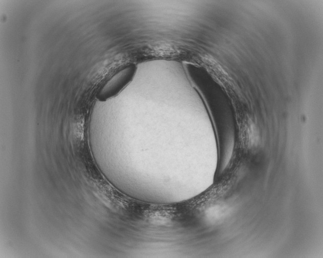 X0000087020368200704301320