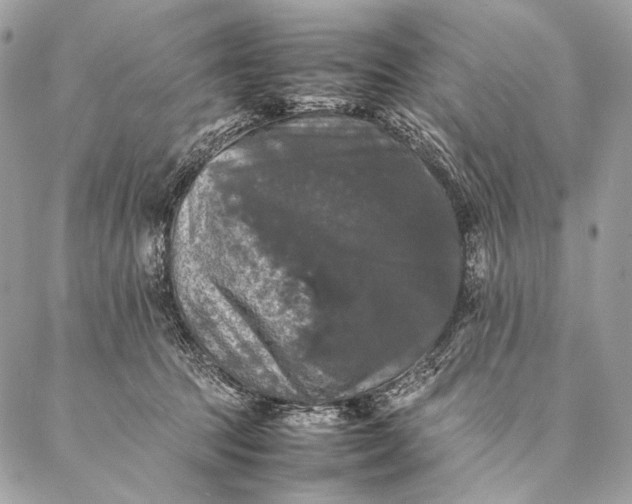 X0000087020369200704301320