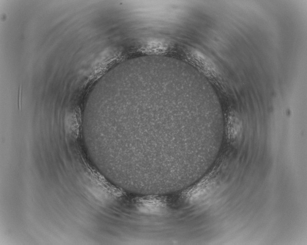 X0000087020370200704301320