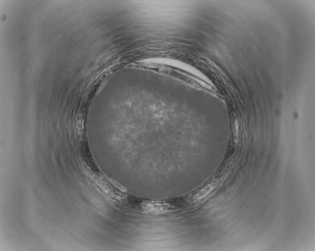 X0000087020372200704301320