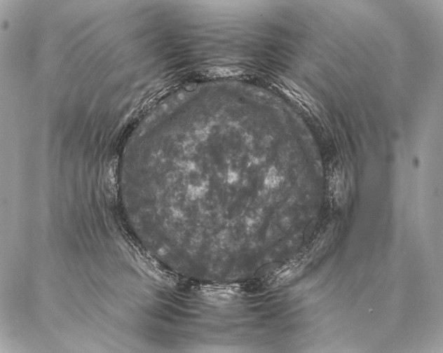 X0000087020373200704301320