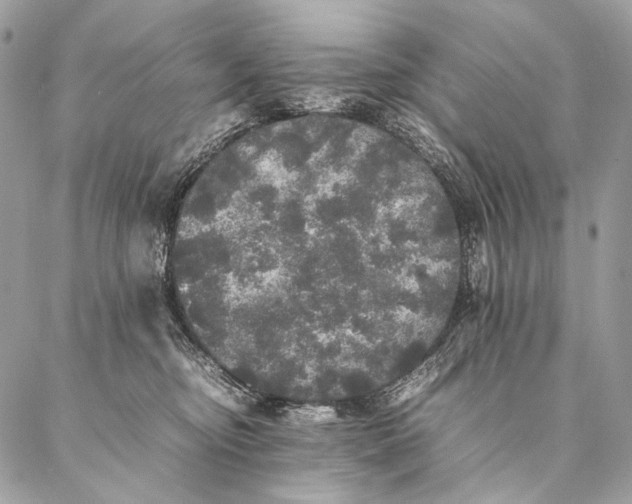 X0000087020374200704301320