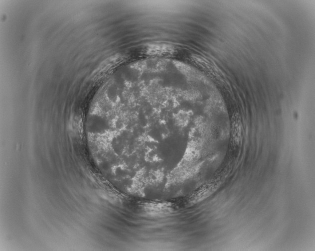 X0000087020375200704301320