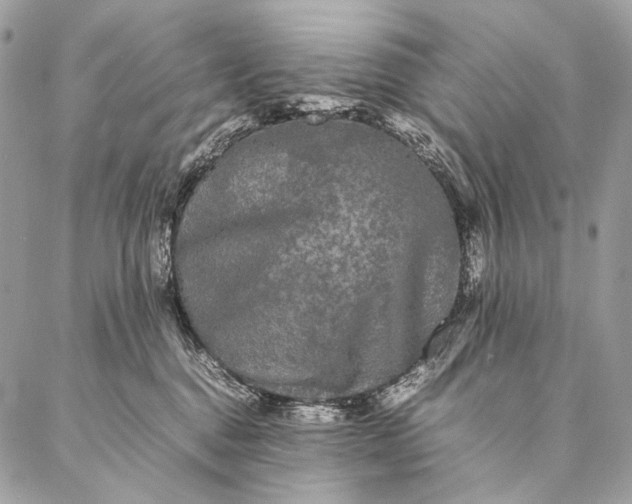 X0000087020376200704301320