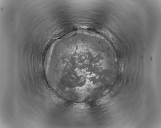 X0000087020377200704301320