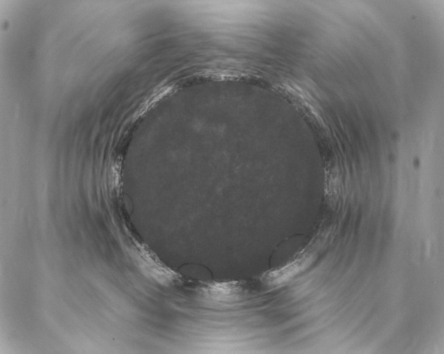 X0000087020382200704301320