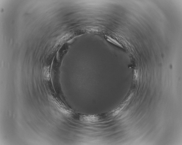 X0000087020383200704301320