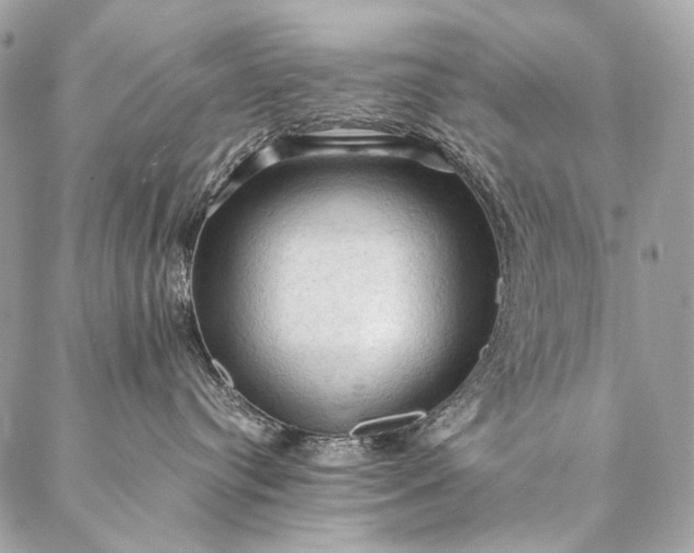 X0000087020384200704301320