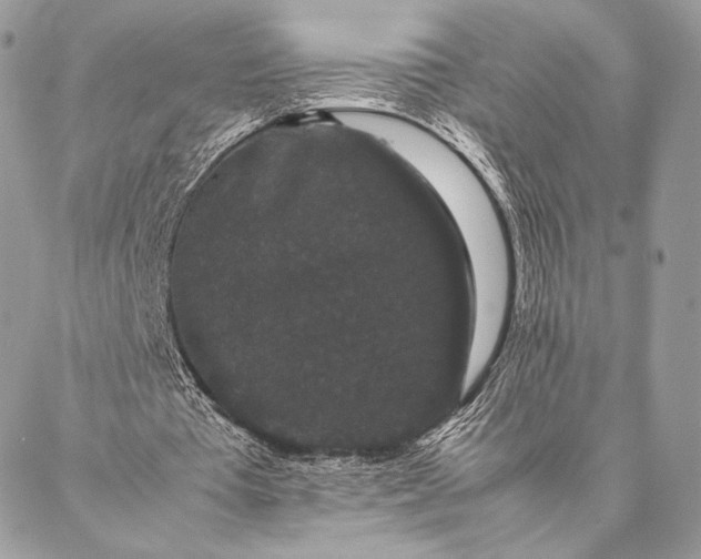 X0000087020385200704301320