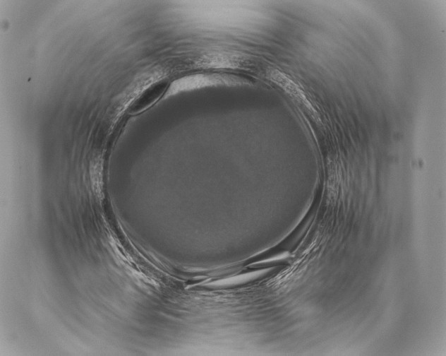 X0000087020386200704301319