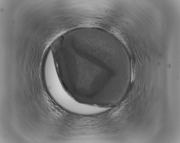 X0000087020387200704301319