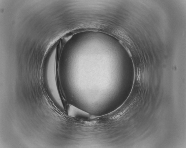 X0000087020388200704301319