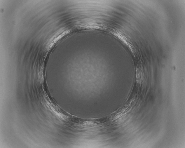 X0000087020390200704301319