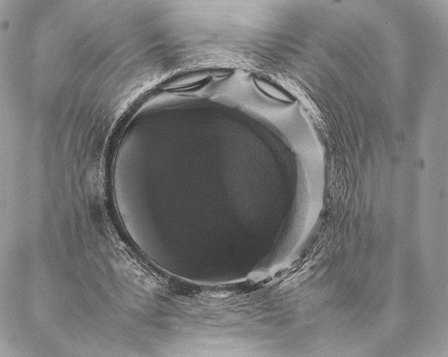 X0000087020391200704301319