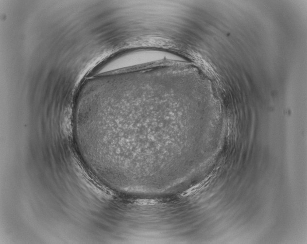 X0000087020392200704301319