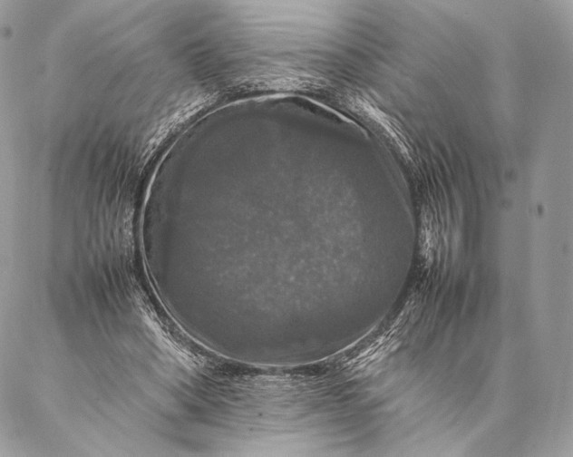 X0000087020394200704301319