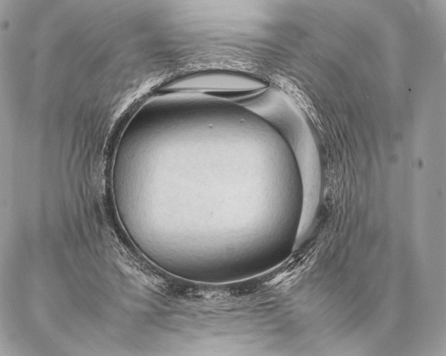 X0000087020395200704301319