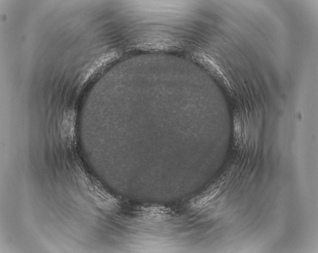 X0000087020396200704301319