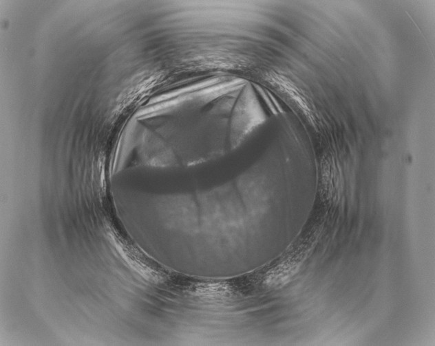 X0000087020398200704301319