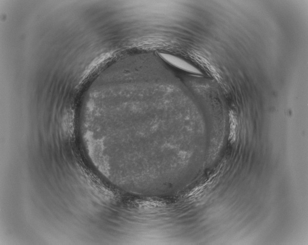 X0000087020400200704301319