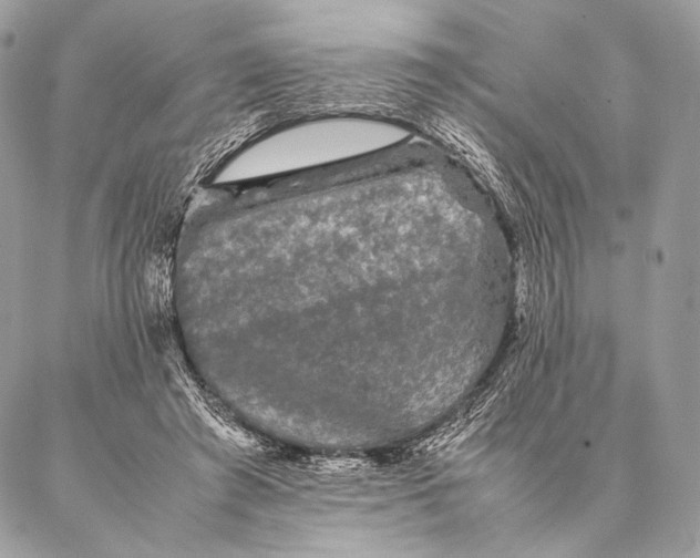 X0000087020401200704301319