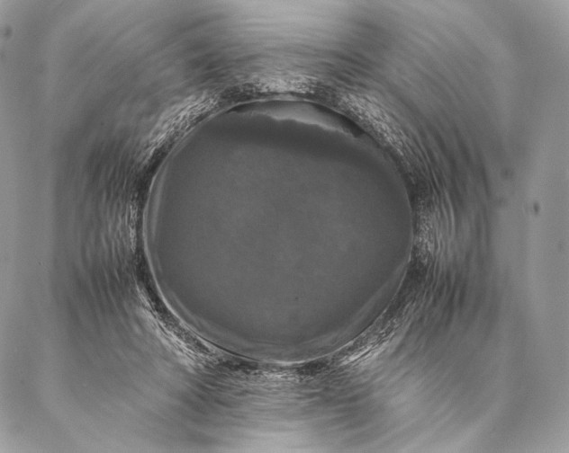 X0000087020402200704301319