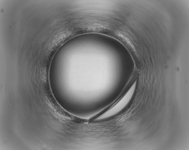 X0000087020403200704301319