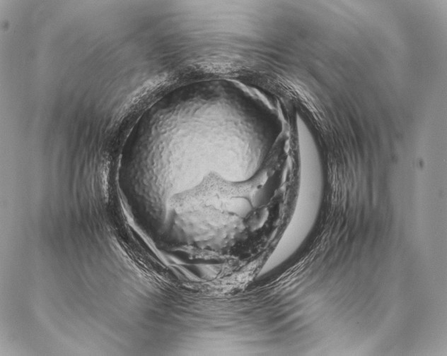 X0000087020404200704301319