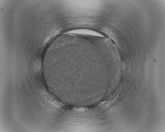 X0000087020407200704301319