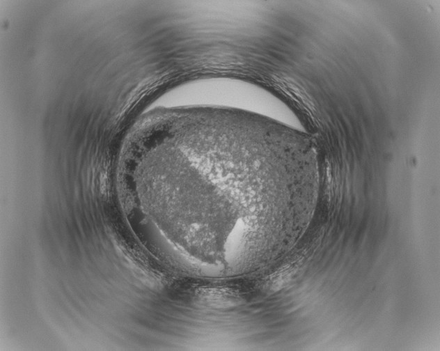 X0000087020408200704301319