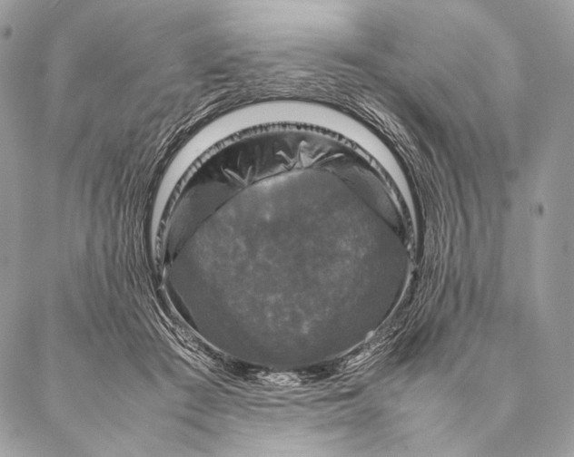 X0000087020409200704301319