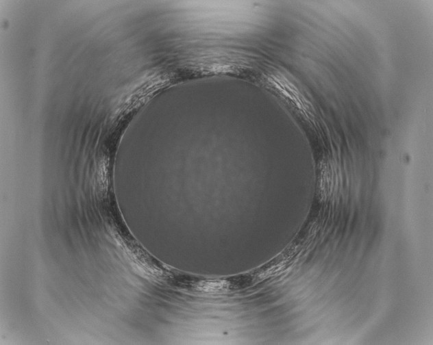 X0000087020410200704301319