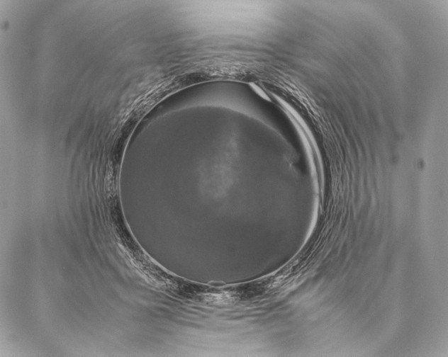 X0000087020411200704301319