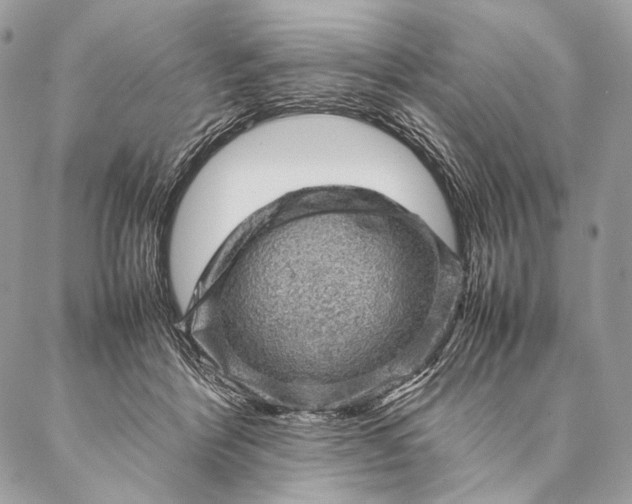 X0000087020412200704301319