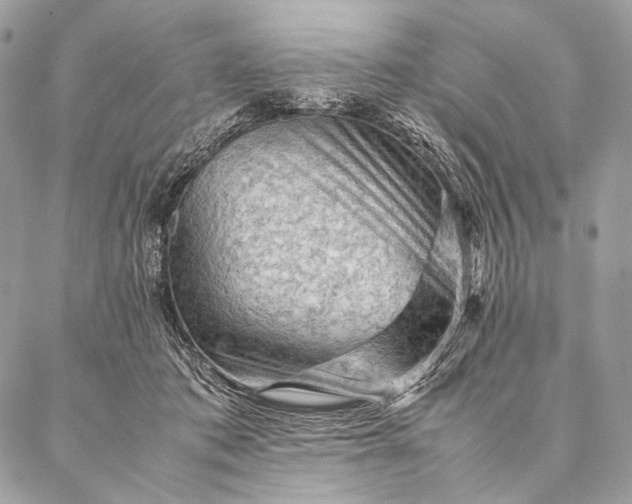 X0000087020413200704301319