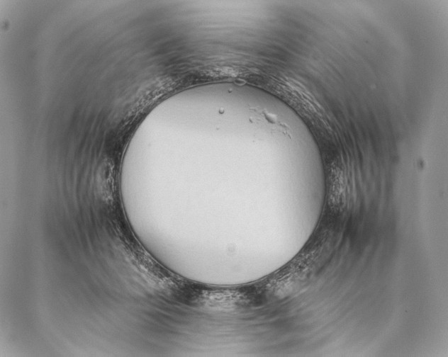 X0000087020414200704301319